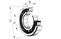 Cylindrical Roller Bearing 200 Series
