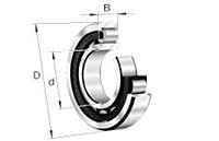 Cylindrical Roller Bearing 1000 Series